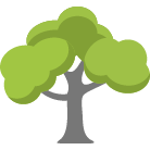 Santa Maria Tree Removal