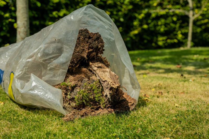 Small Tree Removal