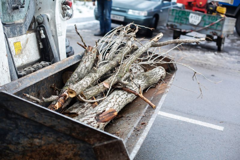 Tree Removal Machinery