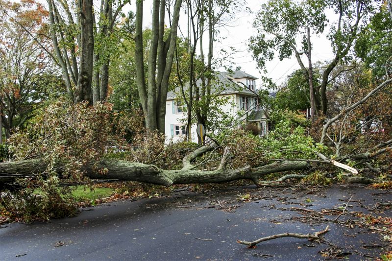 Storm Damage Cleanup