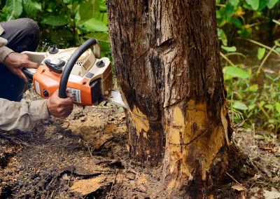 Land Clearing