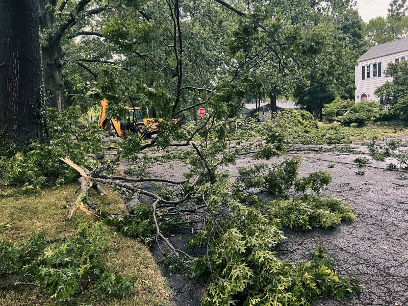 Clearing Debris