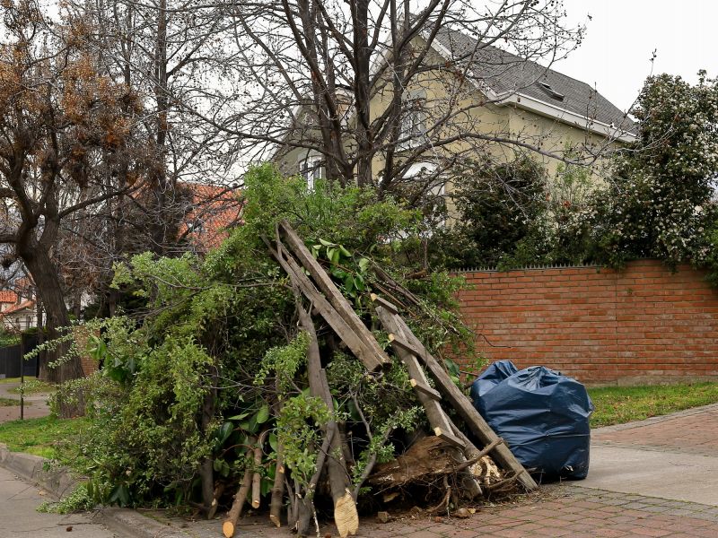 Debris Removal