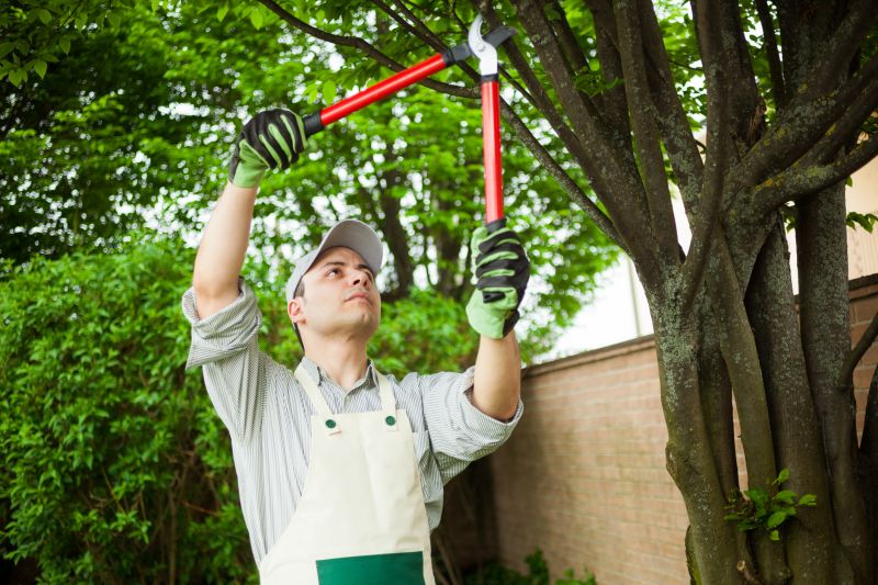 Tree Health Assessment